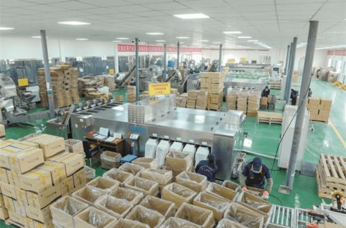 減產緣何反增收？一師阿拉爾市林果業高質量發展技術開發揭秘